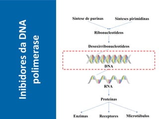InibidoresdaDNA
polimerase
RNA
Síntese de purinas Sínteses pirimidinas
Ribonucleotídeos
Desoxirribonucleotídeos
DNA
Proteínas
Enzimas MicrotúbulosReceptores
 