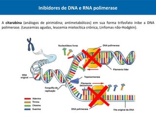 Inibidores de DNA e RNA polimerase
A citarabina (análogos de pirimidina; antimetabólicos) em sua forma trifosfato inibe a DNA
polimerase. (Leucemias agudas, leucemia mielocítica crônica, Linfomas não-Hodgkin).
 