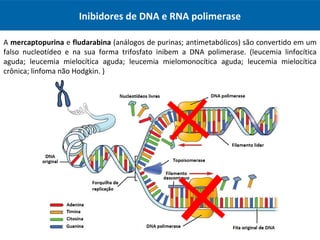 Inibidores de DNA e RNA polimerase
A mercaptopurina e fludarabina (análogos de purinas; antimetabólicos) são convertido em um
falso nucleotídeo e na sua forma trifosfato inibem a DNA polimerase. (leucemia linfocítica
aguda; leucemia mielocítica aguda; leucemia mielomonocítica aguda; leucemia mielocítica
crônica; linfoma não Hodgkin. )
 