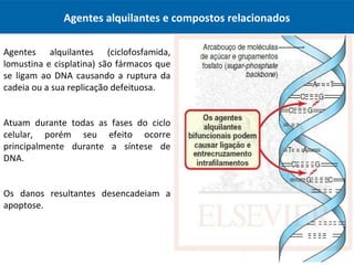 Agentes alquilantes e compostos relacionados
Agentes alquilantes (ciclofosfamida,
lomustina e cisplatina) são fármacos que
se ligam ao DNA causando a ruptura da
cadeia ou a sua replicação defeituosa.
Atuam durante todas as fases do ciclo
celular, porém seu efeito ocorre
principalmente durante a síntese de
DNA.
Os danos resultantes desencadeiam a
apoptose.
 