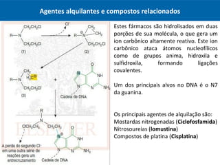 Agentes alquilantes e compostos relacionados
Estes fármacos são hidrolisados em duas
porções de sua molécula, o que gera um
ion carbônico altamente reativo. Este ion
carbônico ataca átomos nucleofílicos
como de grupos anima, hidroxila e
sulfidroxila, formando ligações
covalentes.
Um dos principais alvos no DNA é o N7
da guanina.
Os principais agentes de alquilação são:
Mostardas nitrogenadas (Ciclofosfamida)
Nitrosoureias (lomustina)
Compostos de platina (Cisplatina)
 