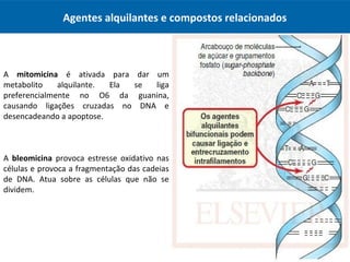A mitomicina é ativada para dar um
metabolito alquilante. Ela se liga
preferencialmente no O6 da guanina,
causando ligações cruzadas no DNA e
desencadeando a apoptose.
A bleomicina provoca estresse oxidativo nas
células e provoca a fragmentação das cadeias
de DNA. Atua sobre as células que não se
dividem.
Agentes alquilantes e compostos relacionados
 