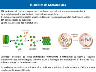 Inibidores de Microtúbulos
Microtúbulos são estruturas proteicas que fazem parte do citoesqueleto nas células. A
desestabilização destas estruturas podem levar a apoptose.
Os inibidores dos microtúbulos atuam em todas as fases do ciclo celular. Podem agir sobre:
1)A polimerização da tubulina;
2)Pela estabilização dos microtúbulos;
Derivados alcaloides da Vinca (Vincristina, vimblastina e vindesina) se ligam a tubulina
prevenindo suas polimerização, inibindo assim a formação de microtúbulos e fibras do fuso.
Inibem a mitose na fase da metáfase.
O paclitaxel estabiliza os microtúbulos, inibindo a mitose; é relativamente tóxico e causa
reações de hipersensibilidade.
 