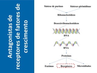 Antagonistasde
receptoresdefatoresde
crescimento
RNA
Síntese de purinas Sínteses pirimidinas
Ribonucleotídeos
Desoxirribonucleotídeos
DNA
Proteínas
Enzimas MicrotúbulosReceptores
 