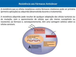 Resistência aos Fármacos Anticâncer
A resistência que as células neoplásicas contra fármacos citotóxicos pode ser primária
(primeira aplicação) ou adquirida (desenvolvida durante o tratamento).
A resistência adquirida pode resultar de qualquer adaptação das células tumorais ou
da mutação, com o aparecimento de células que são menos susceptíveis ou
resistentes ao fármaco e, consequentemente, têm uma vantagem seletiva sobre as
células sensíveis.
 