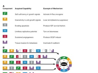 Aula - Quimioterápicos - Antineoplásicos