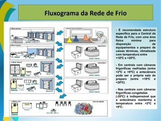 Fluxograma da Rede de Frio
- É recomendada estrutura
específica para a Central da
Rede de Frio, com uma área
física mínima para
disposição de
equipamentos e preparo de
caixas térmicas, climatizada
com temperatura entre
+18ºC e +20ºC.
- Em centrais com câmaras
frigoríficas resfriadas (entre
+2ºC e +8ºC) a antecâmara
pode ser a própria sala de
preparo (entre +18ºC e
+20ºC)
- Nas centrais com câmaras
frigoríficas congeladas
(-20ºC) é indispensável que
a antecâmara mantenha a
temperatura entre +2ºC e
+8ºC.
 