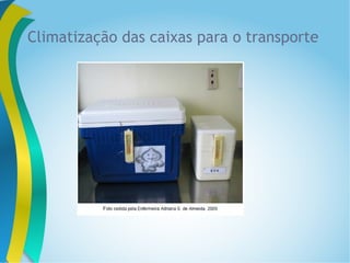 Climatização das caixas para o transporte
 