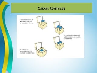 Caixas térmicas
 