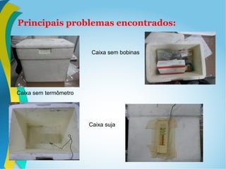 Principais problemas encontrados:
Caixa sem termômetro
Caixa suja
Caixa sem bobinas
 