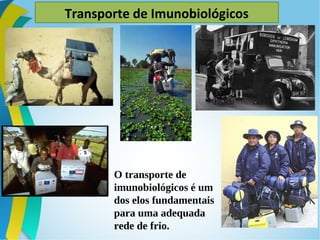 Transporte de Imunobiológicos
O transporte de
imunobiológicos é um
dos elos fundamentais
para uma adequada
rede de frio.
 
