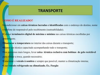 TRANSPORTE
COMO É REALIZADO?

Acondicionar em caixas térmicas lacradas e identificadas com o endereço do destino, nome
e telefone do responsável pelo recebimento (rastreabilidade);

Colocar termômetro digital de máxima e mínima nas caixas térmicas escolhidas por
amostragem;

Monitorar a temperatura no interior das caixas durante o transporte;

Manter um técnico capacitado acompanhando todo o transporte;

Nos percursos mais longos, levar caixa térmica exclusiva com bobinas de gelo reciclável
para efetuar a troca, quando necessário;

Estacionar o veículo à sombra e sempre que possível, manter a climatização interna;

Usar veículo refrigerado ou climatizado. Ex. Furgão
 