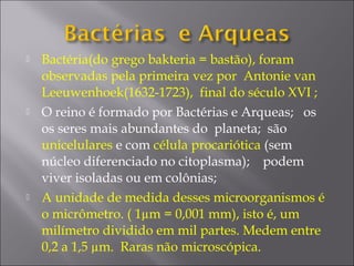 Bactéria(do grego bakteria = bastão), foram
observadas pela primeira vez por Antonie van
Leeuwenhoek(1632-1723), final do século XVI ;
 O reino é formado por Bactérias e Arqueas; os
os seres mais abundantes do planeta; são
unicelulares e com célula procariótica (sem
núcleo diferenciado no citoplasma); podem
viver isoladas ou em colônias;
 A unidade de medida desses microorganismos é
o micrômetro. ( 1µm = 0,001 mm), isto é, um
milímetro dividido em mil partes. Medem entre
0,2 a 1,5 µm. Raras não microscópica.
 