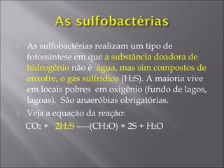  As sulfobactérias realizam um tipo de
fotossíntese em que a substância doadora de
hidrogênio não é água, mas sim compostos de
enxofre, o gás sulfrídico (H2S). A maioria vive
em locais pobres em oxigênio (fundo de lagos,
lagoas). São anaeróbias obrigatórias.
 Veja a equação da reação:
CO2 + 2H2S –---(CH2O) + 2S + H2O
 