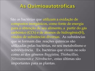 São as bactérias que utilizam a oxidação de
compostos inorgânicos, como fonte de energia
para a obtenção de seu alimento, a partir do gás
carbônico (CO2) e de átomos de hidrogênio(H),
vindos de substâncias diversas. As substâncias
que se formam das reações químicas são
utilizadas pelas bactérias, no seu metabolismo e
sobrevivência. Ex. bactérias que vivem no solo
como as dos gêneros Baggiatoa, Thiobacillus,
Nitrosomonas e Nitrobacter., estas últimas são
importantes para as plantas.
 