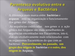  A diferença mais marca entre bactérias e
arqueas está na organização e funcionamento
dos genes das Arqueas.
 As sequências codificadas nos genes e a ação
gênica das Arqueas são mais semelhantes às
sequências encontradas nos Eucarióticos, isto é,
elas são evolutivamente mais relacionadas com
os organismos Eucarióticos do que com as
bactérias. Provavelmente, no passado, um
grupo deu origem às bactérias e o outro, deu
origem às Arqueas.
 