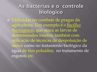  Utilizadas no combate de pragas da
agricultura. Um exemplo é o Bacillus
thuringensis, que ataca as larvas de
determinados insetos; também com
aplicação de técnicas de despoluição de
meios como no tratamento biológico da
água de rios poluídos; no tratamento de
esgotos; etc.
 