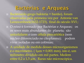  Bactéria(do grego bakteria = bastão), foram
observadas pela primeira vez por Antonie van
Leeuwenhoek(1632-1723), final do século XVI ;
 O reino é formado por Bactérias e Arqueas; os
os seres mais abundantes do planeta; são
unicelulares e com célula procariótica (sem
núcleo diferenciado no citoplasma); podem
viver isoladas ou em colônias;
 A unidade de medida desses microorganismos
é o micrômetro. ( 1µm = 0,001 mm), isto é, um
milímetro dividido em mil partes. Medem
entre 0,2 a 1,5 µm. Raras não microscópica.
 