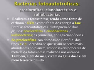  Realizam a fotossíntese, tendo como fonte de
carbono o CO2 e como fonte de energia a Luz .
Entre as fotoautotróficas distinguem-se dois
grupos: proclorófitas + cianobactérias e
sulfobactérias; as primeiras, antigas cianofíceias.
 As proclorófitas são dotadas de clorofila dos
tipos a e b. Acredita-se que sejam os seres mais
abundantes no planeta, responsáveis por cerca de
metade da fotossíntese realizada nos oceanos.
Também, além do mar, vivem na água doce e em
meio terrestre úmido.
 