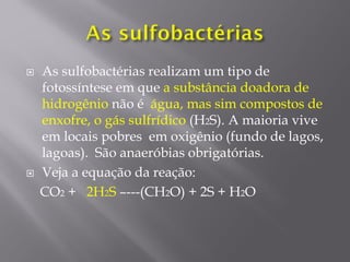  As sulfobactérias realizam um tipo de
fotossíntese em que a substância doadora de
hidrogênio não é água, mas sim compostos de
enxofre, o gás sulfrídico (H2S). A maioria vive
em locais pobres em oxigênio (fundo de lagos,
lagoas). São anaeróbias obrigatórias.
 Veja a equação da reação:
CO2 + 2H2S –---(CH2O) + 2S + H2O
 