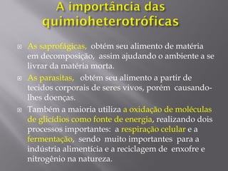  As saprofágicas, obtém seu alimento de matéria
em decomposição, assim ajudando o ambiente a se
livrar da matéria morta.
 As parasitas, obtém seu alimento a partir de
tecidos corporais de seres vivos, porém causando-
lhes doenças.
 Também a maioria utiliza a oxidação de moléculas
de glicídios como fonte de energia, realizando dois
processos importantes: a respiração celular e a
fermentação, sendo muito importantes para a
indústria alimentícia e a reciclagem de enxofre e
nitrogênio na natureza.
 