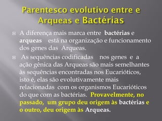  A diferença mais marca entre bactérias e
arqueas está na organização e funcionamento
dos genes das Arqueas.
 As sequências codificadas nos genes e a
ação gênica das Arqueas são mais semelhantes
às sequências encontradas nos Eucarióticos,
isto é, elas são evolutivamente mais
relacionadas com os organismos Eucarióticos
do que com as bactérias. Provavelmente, no
passado, um grupo deu origem às bactérias e
o outro, deu origem às Arqueas.
 