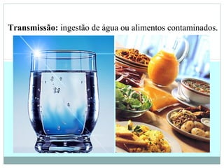 Transmissão: ingestão de água ou alimentos contaminados.
 