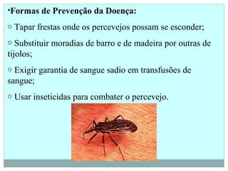 •Formas de Prevenção da Doença:
o Tapar frestas onde os percevejos possam se esconder;
o Substituir moradias de barro e de madeira por outras de
tijolos;
o Exigir garantia de sangue sadio em transfusões de
sangue;
o Usar inseticidas para combater o percevejo.
 
