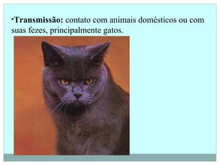 •Transmissão: contato com animais domésticos ou com
suas fezes, principalmente gatos.
 