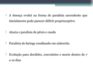  A doença evolui na forma de paralisia ascendente que
inicialmente pode parecer déficit proprioceptivo
 Ataxia e paralisia de pênis e cauda
 Paralisia de faringe resultando em sialorréia
 Evolução para decúbito, convulsões e morte dentro de 7
a 10 dias
 
