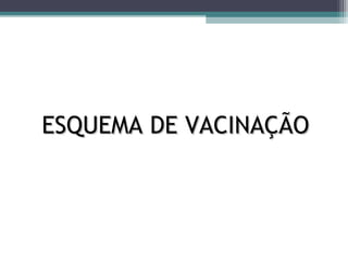 ESQUEMA DE VACINAÇÃOESQUEMA DE VACINAÇÃO
 
