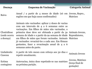 Doença Esquema de Vacinação Categoria Animal
Raiva
Anual / a partir de 4 meses de idade (só em
regiões em que haja casos confirmados)
Jovens, Repro.,
Matrizes
Clostridiose
(onde ocorra
a doença)
Animais não vacinados: aplicar 2 doses de vacina
com um intervalo de 4 a 6 semanas entre as
vacinações. Em filhos de mães não vacinadas, a
primeira dose deve ser efetuada a partir da 3a
semana de idade e a partir da 9a semana de idade
em filhos de mães que foram vacinadas. Animais
já vacinados: revaciná-los a cada ano. Em fêmeas
gestantes, fazer a revacinação anual de 4 a 6
semanas antes do parto.
Animais Jovens,
Reprodutores,
Matrizes
Linfadenite
Caseosa
A partir de três meses com reforço aos 30 dias e
repetir anualmente.
Animais Jovens
Ectima
contagioso
Autovacina, única dose repetindo-se nas matrizes
na próxima parição.
Jovens, Matrizes
(terço final de
gestação)
 