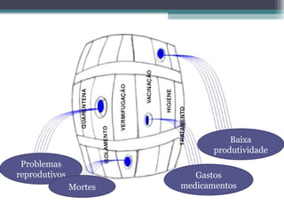 Problemas
reprodutivos
Baixa
produtividade
Mortes
Gastos
medicamentos
Problemas
reprodutivos
 