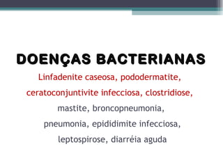 DOENÇAS BACTERIANASDOENÇAS BACTERIANAS
Linfadenite caseosa, pododermatite,
ceratoconjuntivite infecciosa, clostridiose,
mastite, broncopneumonia,
pneumonia, epididimite infecciosa,
leptospirose, diarréia aguda
 