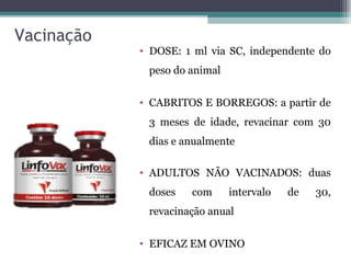Vacinação
• DOSE: 1 ml via SC, independente do
peso do animal
• CABRITOS E BORREGOS: a partir de
3 meses de idade, revacinar com 30
dias e anualmente
• ADULTOS NÃO VACINADOS: duas
doses com intervalo de 30,
revacinação anual
• EFICAZ EM OVINO
 