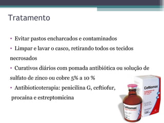 Tratamento
• Evitar pastos encharcados e contaminados
• Limpar e lavar o casco, retirando todos os tecidos
necrosados
• Curativos diários com pomada antibiótica ou solução de
sulfato de zinco ou cobre 5% a 10 %
• Antibioticoterapia: penicilina G, ceftiofur,
procaína e estreptomicina
 