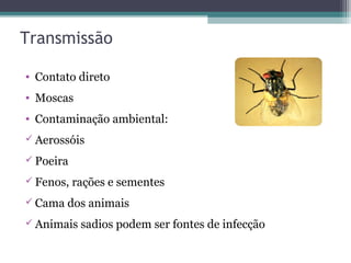 Transmissão
• Contato direto
• Moscas
• Contaminação ambiental:
 Aerossóis
 Poeira
 Fenos, rações e sementes
 Cama dos animais
 Animais sadios podem ser fontes de infecção
 