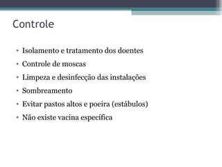 Controle
• Isolamento e tratamento dos doentes
• Controle de moscas
• Limpeza e desinfecção das instalações
• Sombreamento
• Evitar pastos altos e poeira (estábulos)
• Não existe vacina específica
 