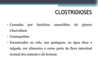 CLOSTRIDIOSESCLOSTRIDIOSES
• Causadas por bactérias anaeróbias do gênero
Clostridium
• Cosmopolitas
• Encontrados no solo, nas pastagens, na água doce e
salgada, em alimentos e como parte da flora intestinal
normal dos animais e do homem
 