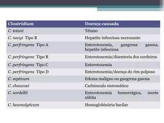 Clostridium Doença causada
C. tetani Tétano
C. novyi Tipo B Hepatite infecciosa necrosante
C. perfringens Tipo A Enterotoxemia, gangrena gasosa,
hepatite infecciosa
C. perfringens Tipo B Enterotoxemia/disenteria dos cordeiros
C. perfringens Tipo C Enterotoxemia
C. perfringens Tipo D Enterotoxemia/doença do rim polposo
C. septicum Edema maligno ou gangrena gasosa
C. chauvoei Carbúnculo sintomático
C. sordellii Enterotoxemia hemorrágica, morte
súbita
C. heamolyticum Hemoglobinúria bacilar
 