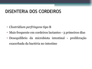 DISENTERIA DOS CORDEIROSDISENTERIA DOS CORDEIROS
• Clostridium perfringens tipo B
• Mais frequente em cordeiros lactantes - 3 primeiros dias
• Desequilíbrio da microbiota intestinal - proliferação
exacerbada da bactéria no intestino
 