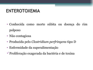 ENTEROTOXEMIAENTEROTOXEMIA
• Conhecida como morte súbita ou doença do rim
polposo
• Não contagiosa
• Produzida pelo Clostridium perfringens tipo D
• Enfermidade da superalimentação
Proliferação exagerada da bactéria e de toxina
 