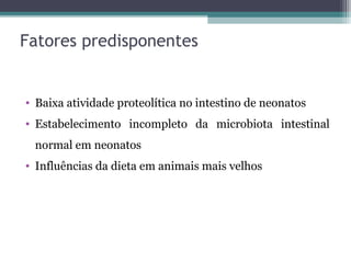 Fatores predisponentes
• Baixa atividade proteolítica no intestino de neonatos
• Estabelecimento incompleto da microbiota intestinal
normal em neonatos
• Influências da dieta em animais mais velhos
 