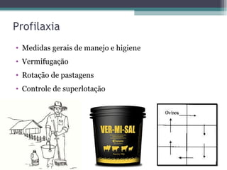 Profilaxia
• Medidas gerais de manejo e higiene
• Vermifugação
• Rotação de pastagens
• Controle de superlotação
 