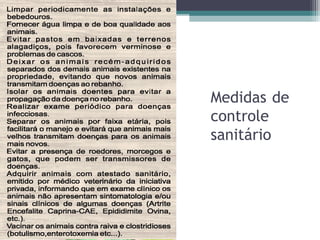 Medidas de
controle
sanitário
 
