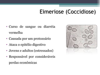 Eimeriose (Coccidiose)Eimeriose (Coccidiose)
• Curso de sangue ou diarréia
vermelha
• Causada por um protozoário
• Ataca o epitélio digestivo
• Jovens e adultos (estressados)
• Responsável por consideráveis
perdas econômicas
 