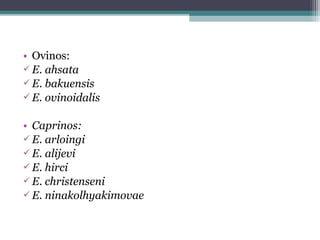 • Ovinos:
 E. ahsata
 E. bakuensis
 E. ovinoidalis
• Caprinos:
 E. arloingi
 E. alijevi
 E. hirci
 E. christenseni
 E. ninakolhyakimovae
 