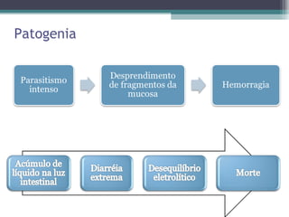 Patogenia
 