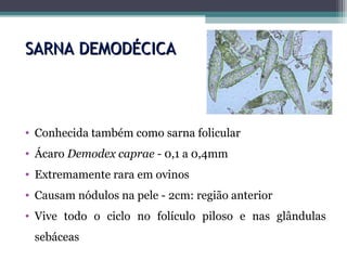 SARNA DEMODÉCICASARNA DEMODÉCICA
• Conhecida também como sarna folicular
• Ácaro Demodex caprae - 0,1 a 0,4mm
• Extremamente rara em ovinos
• Causam nódulos na pele - 2cm: região anterior
• Vive todo o ciclo no folículo piloso e nas glândulas
sebáceas
 