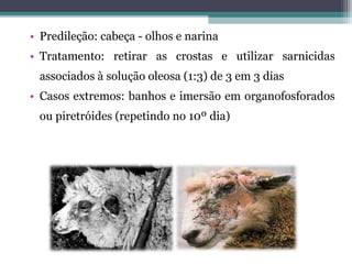 • Predileção: cabeça - olhos e narina
• Tratamento: retirar as crostas e utilizar sarnicidas
associados à solução oleosa (1:3) de 3 em 3 dias
• Casos extremos: banhos e imersão em organofosforados
ou piretróides (repetindo no 10º dia)
 